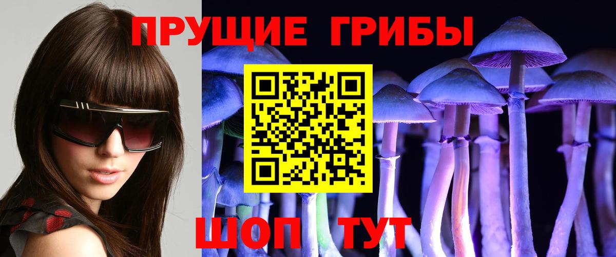 Галлюциногенные грибы GOLDEN TEACHER Гатчина